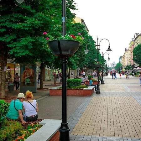 Alegra In Downtown *