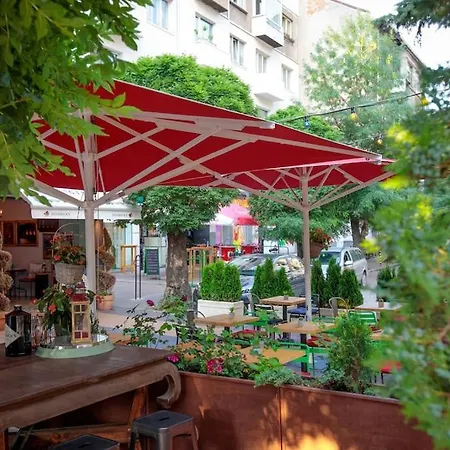 Alegra In Downtown *
